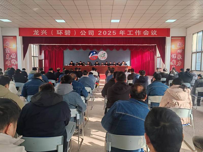 龙兴（环碧）公司召开2025年工作会议